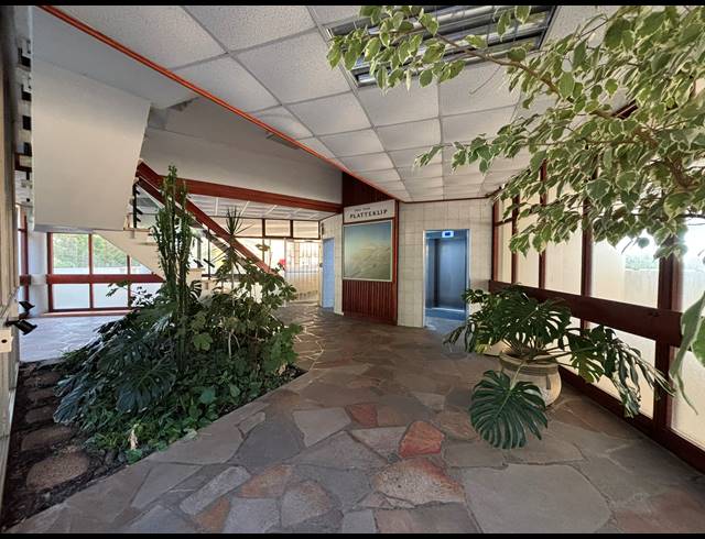2 BEDROOM APARTMENT TO LET IN VREDEHOEK
